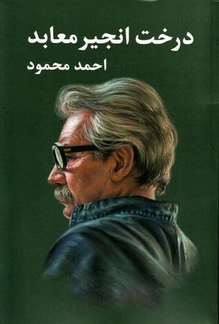  درخت انجیر معابد